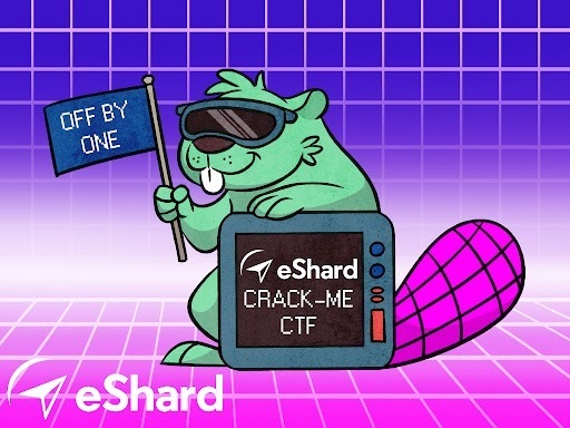 Crack Me CTF